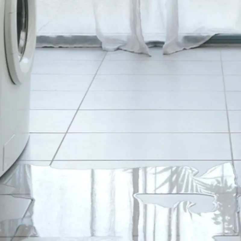 Appliance Leak Cleanup in Missaukee County, MI