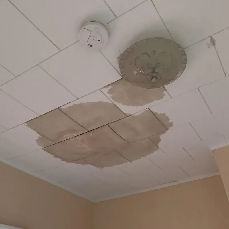 Ceiling Water Damage Repair in Missaukee County, MI
