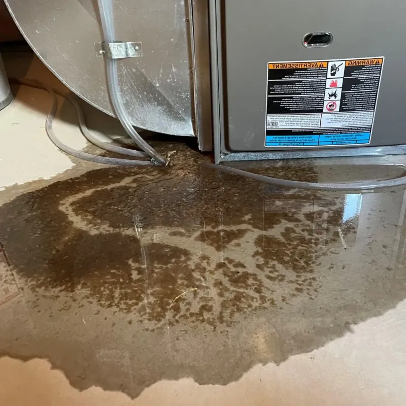 Pipe Burst and Leak Restoration in Missaukee County, MI
