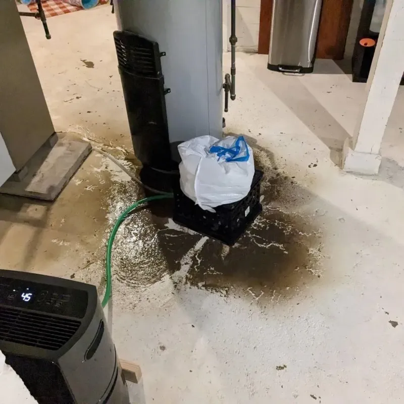 Sewage Backup Cleanup Service in Missaukee County, MI